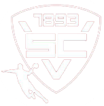 Logo der Handballabteilung des SC Vöhringen
