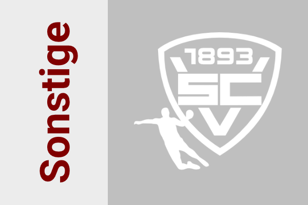 Logo Sonstige der Handballabteilung des SC Vöhringen