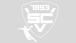 SCV-Handball-Logo weiß auf grau