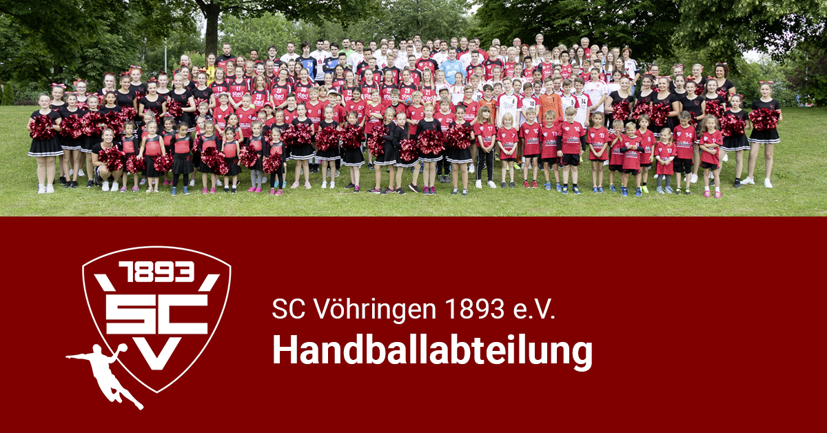 (c) Scvoehringen-handball.de